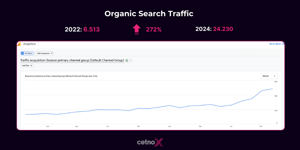 Organic Search Traffic vr porn analytics case study