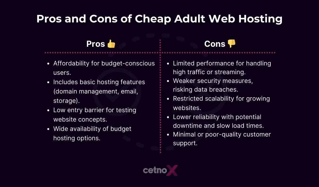 Pros and Cons of Cheap Adult Web Hosting