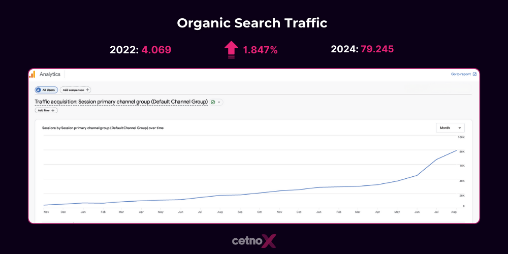 Organic Search Traffic trans porn analyticscase study